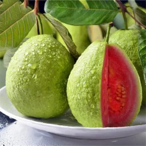 GUAVA